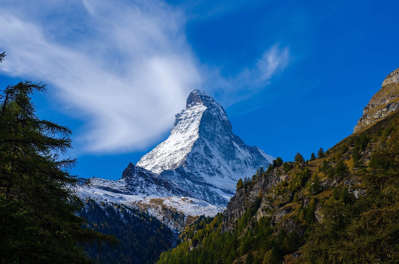 Swissy: Empowering Modern Business with Secure, Efficient, and Trusted Digital Finance