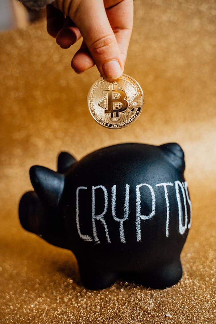 embark A hand places a Bitcoin into a piggy bank labeled 'Crypto', symbolizing savings and investment.